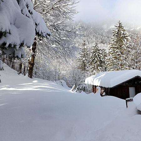 Ferienhaus Baerschwendi Lungern Εξωτερικό φωτογραφία