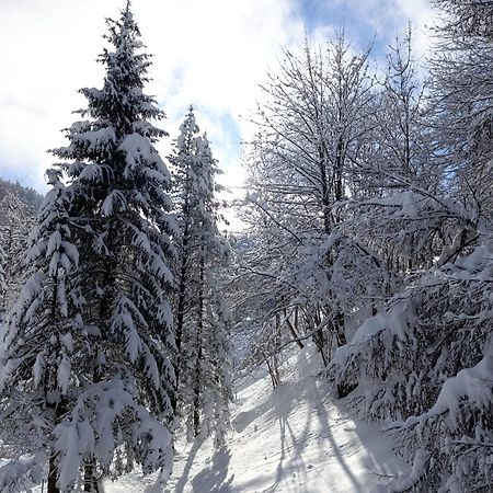 Ferienhaus Baerschwendi Lungern Εξωτερικό φωτογραφία