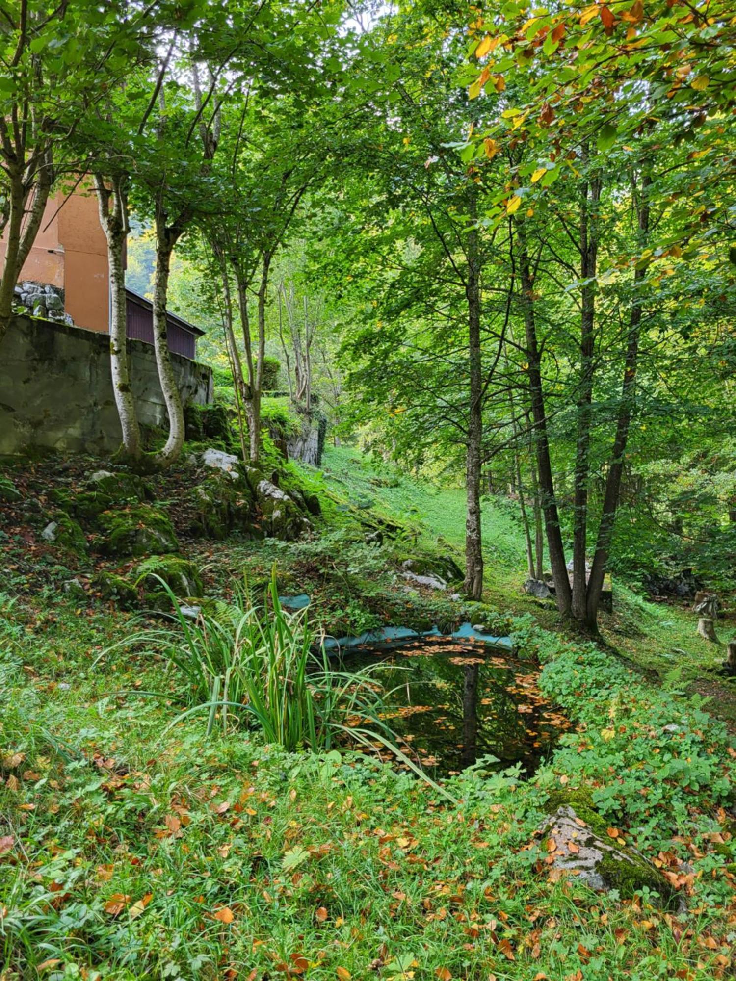 Ferienhaus Baerschwendi Lungern Εξωτερικό φωτογραφία