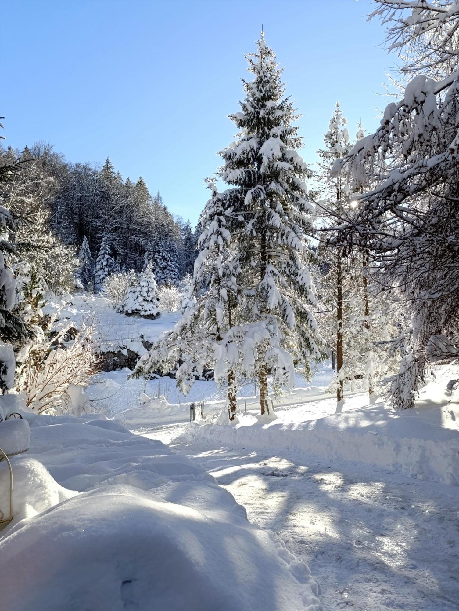 Ferienhaus Baerschwendi Lungern Εξωτερικό φωτογραφία