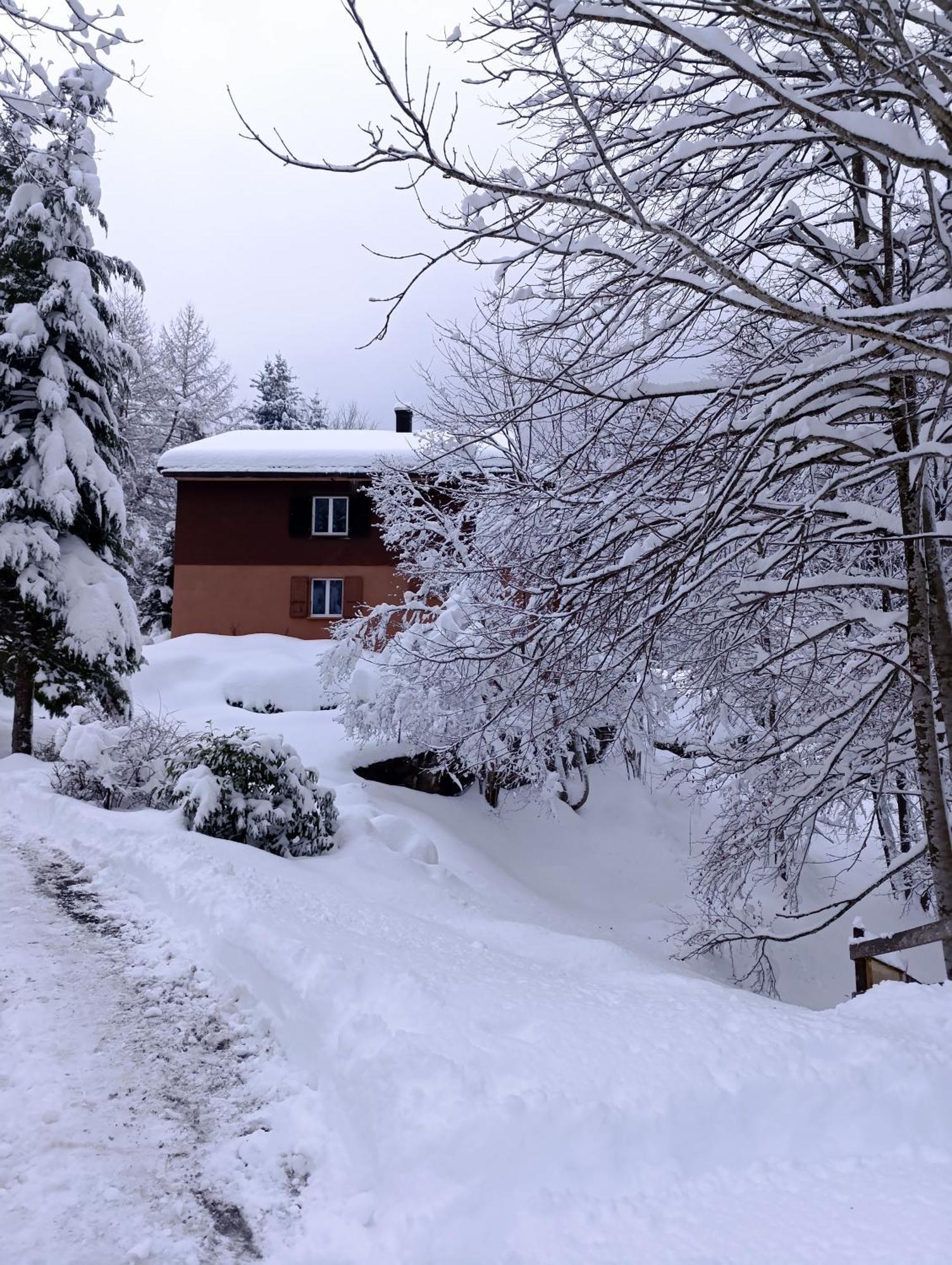 Ferienhaus Baerschwendi Lungern Εξωτερικό φωτογραφία